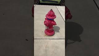 Fire Hydrant 82924 [upl. by Notyarb]