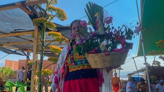 FESTIVAL DEL MEZCAL EN OAXACA  San Luis Amatlán zona de mezcaleros Vivelo [upl. by Olnee704]