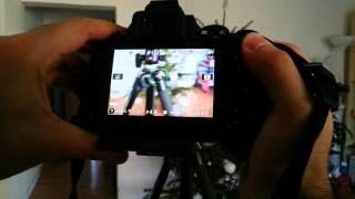 Nikon D5500 live view autofocus test [upl. by Hulda]