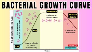 Bacterial Growth Curve in 2 minutes4 Phases of Microbial Growth Curve🦠 Microbiologybiologyexams4u [upl. by Eintrok]