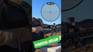 Hits like a hurricane  FX Impact  Powerful Airgun Setup  Unreal Accuracy  FX Airguns [upl. by Alliuqaj]