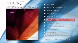 DeeperNET  IMPOSSIBLE LANDSCAPE Album Sampler [upl. by Nofpets379]