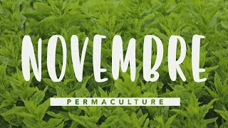 Que faire dans son jardin permaculture en novembre  permaculture [upl. by Amsden799]