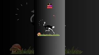 Ostrich Running and Sounds shorts ostrich birds soundeffects usa vs [upl. by Admana]