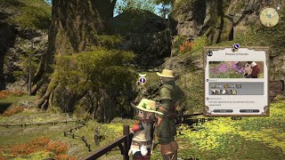 FFXIV Botanist Class Quest Dressed to Harvest [upl. by Alyehs]