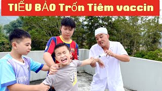 DTVN Vlog  Tập 179Bài học nhớ đời cho kẻ giám bắt nạt trẻ trâu TIỂU BẢO TRỐN TIÊM [upl. by Augie]