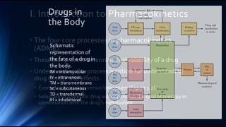 Psychopharmacology amp Pharmacokinetics [upl. by Jovitta]