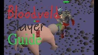 OSRS InDepth Ultimate Bloodveld Slayer Guide 2019 [upl. by Aver]