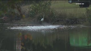 Rockdale sheriff sends letter to businesses saying they must stay inside due to high chlorine levels [upl. by Eneloc103]