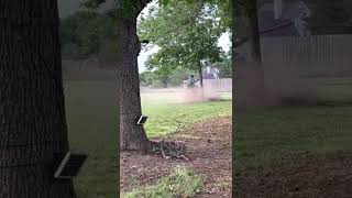 Emu Tries to Attack Lawn Mowing Man While He Mowed the Grass  1370387 [upl. by Annoyk]