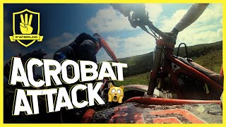 ACROBAT ATTACK 🙀 Manx Trials 2023 🇮🇲 [upl. by Tarazi]