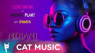 Constantin x Ambiental Planet feat Dawda  Ndiani Afro House  Official Visualiser [upl. by Fulmis292]