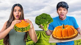 Eating Only VEGAN FOOD For 24 Hours 🌱 සිංහල vlog  Yash and Hass [upl. by Yar]