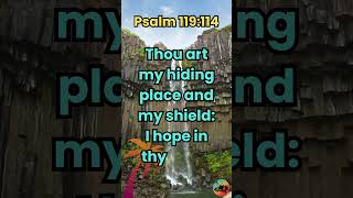 Psalm 119114 KJV  Daily Devotionals [upl. by Annod]