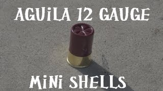 Aguila 12 Gauge Mini Shells Benelli M4 Cycle Test [upl. by Proudfoot]