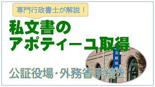 【外務省アポスティーユ手続き】－中国就業許可のための提出書類－ [upl. by Ah140]