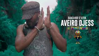 AVEIRO DJESS  LE NYAMA CLIP OFFICIEL [upl. by Flint97]