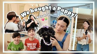 SURPRISING OUR LOLA  BUYING SUNNIES GLASSES  MINI LAZADA HAUL [upl. by Seravart]