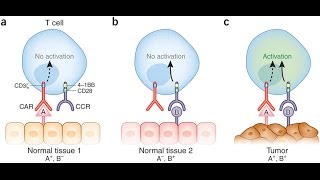 Tumor specific antigen [upl. by Gerhard]