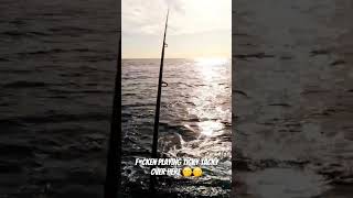 Bonitos playing TICKY TACKY with me🤣🤣👀 fishing getupearlyinthemorning [upl. by Skcirdnek]