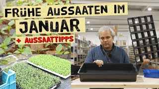 Was kannst du im Januar aussäen  Tipps zur frühen JungpflanzenVoranzucht im Haus [upl. by Bennion]