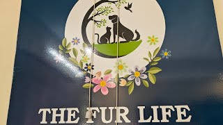 The Fur Life Pet Care  Veterinary Hospital  Sector 46 Gurgaon Haryana Vet Hospital Visitvlog [upl. by Nafis]