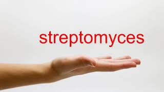 How to Pronounce streptomyces  American English [upl. by Orlanta]