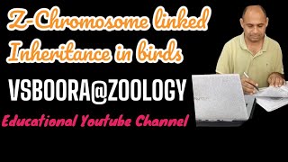 ZSex Chromosome linked InheritancevsbooraBioTopVision bsczoology biology bio genetics gene [upl. by Casimir]