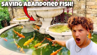 Saving ABANDONED Aquarium FISH From FOUNTAIN POND [upl. by Akenet]