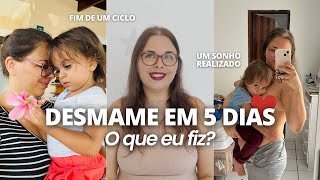 COMO DESMAMEI MINHA BEBÊ DE 2 ANOS  desmame em 5 dias minha experiência com amamentação [upl. by Patsy]