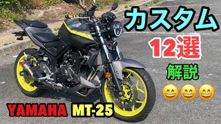 バイク カスタム 12選 を 紹介 amp 解説します😄 YAMAHA MT25 [upl. by Draw]