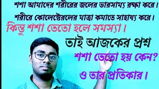 শশা তেতো কেন হয় ও তার প্রতিকারের উপায়।why cucumber is bitter in test lsciencezone [upl. by Enorel]