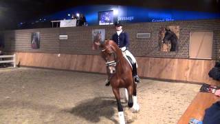 Geniaal KWPN  Stallion Show Vanuytert 2015 [upl. by Iznyl]