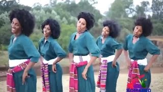 Best Ethiopian Traditional Music 2014 Solomon Demle  Mech Ayeshiwuna [upl. by Paulina]