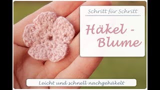 ✿ Einfache Häkelblume Häkeln ✿ 5 Blätter ✿ Amigurumi Blume ✿ Anleitung für Anfänger [upl. by Asined]