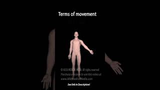 Anatomical Terms anatomy science medicalanimation biology [upl. by Fenner323]