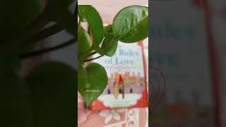 Forty Rules Of Love By Elif Shafak quotWhere Love And Spirituality Entwinquot [upl. by Ardua]