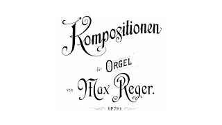 Max Reger  Dreizehn Choralvorspiele op 79b [upl. by Wina]