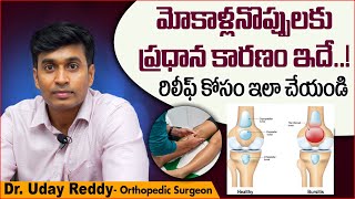 బర్సైటిస్ అంటే ఏమిటి  Knee Bursitis Treatment in Telugu  Dr Uday Reddy  TRH Pain Management [upl. by Erdnaek750]