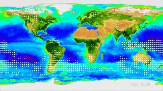 Correlation Between Tropospheric CO2 and Seasonal Variation of the Biosphere [upl. by Eirrot]