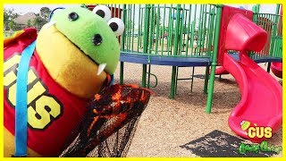 Animal Hunting at outdoor playground for kids [upl. by Shaya]