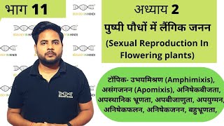 अध्याय 2 भाग 11 पुष्पी पौधों में लैंगिक जनन  जीव विज्ञान कक्षा 12 Sexual repro in flowering plant [upl. by Kcirdaed]