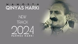 Qinyas Harki new track 2024 [upl. by Olympium248]