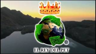 EL REY DEL PET te apoya que necesitas [upl. by Thgiled887]