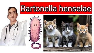 Bartonella henselae [upl. by Thomas]