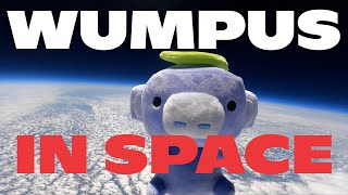 We Sent Wumpus Into Space [upl. by Asehr912]