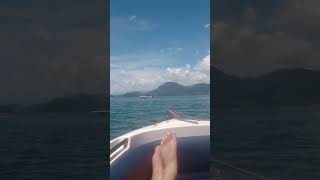 Ilha dos porcos Ubatuba SP Brasil [upl. by Petua]