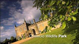 Visit Oxford Tourist Information [upl. by Farlay]