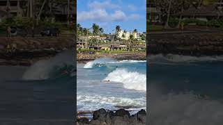 Brennecke quotBoogie Boardquot Beach Memorial Day on Poipu Park Kauai [upl. by Otes]