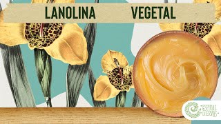 LANOLINA VEGETAL  Série Ingredientes para Cosmética Natural [upl. by Nalyak]